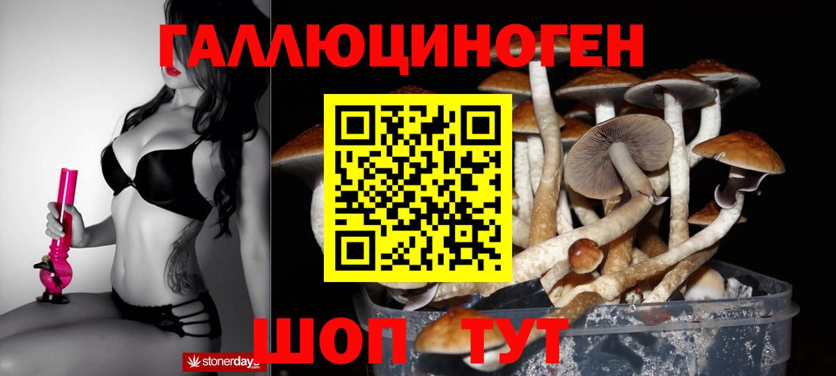 Псилоцибиновые грибы GOLDEN TEACHER  Вход с VPN  Пугачёв 