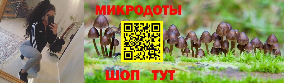 Псилоцибиновые грибы Cubensis Пугачёв